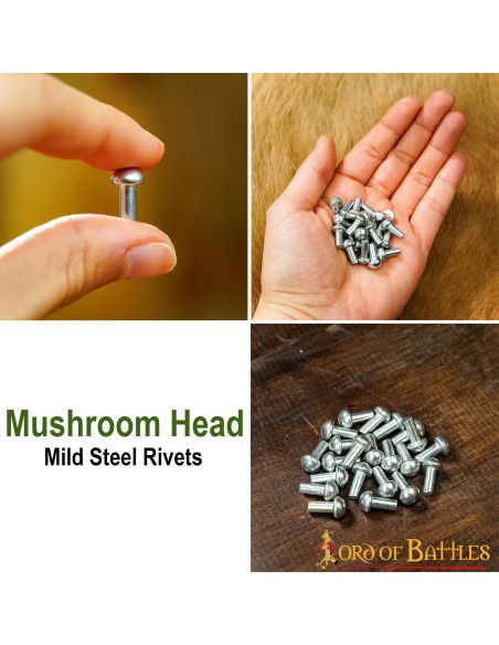 Set of 25 silver rivets with mushroom...