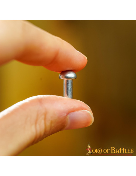 Set of 25 silver rivets with mushroom...