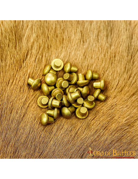 Set of 25 brass rivets with mushroom...
