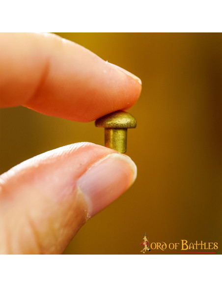 Set of 25 brass rivets with mushroom...