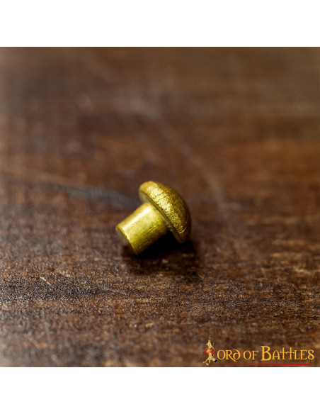 Set of 25 brass rivets with mushroom...