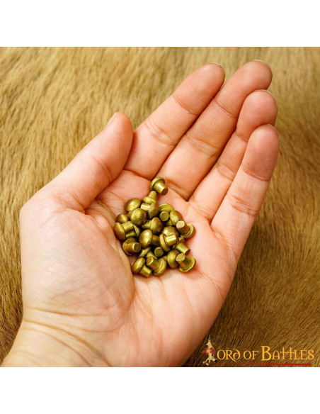 Set of 25 brass rivets with mushroom...