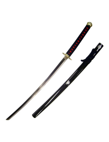Katana Erza Scarlet from Fairy Tail...