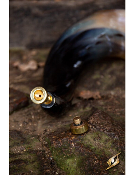 Great sound horn for battle