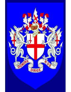 Medieval dragons banner and coat of arms