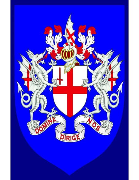 Medieval dragons banner and coat of arms