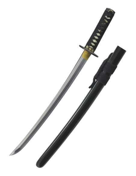 Wakizashi wind and thunder from...
