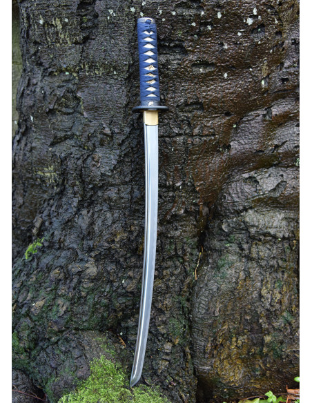 Wakizashi Kaeru Frog from Hanwei...