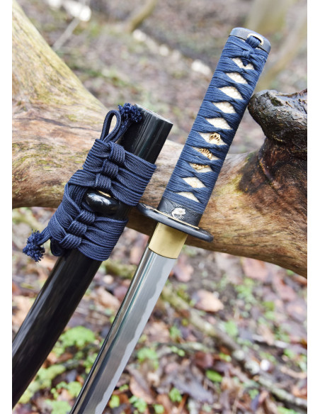 Wakizashi Kaeru Frog from Hanwei...