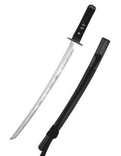 Wakizashi Iaito Tsuru from Hanwei (69.2 cm.)