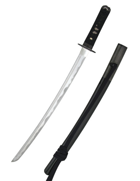 Wakizashi Iaito Tsuru from Hanwei...