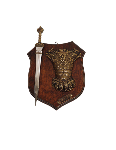 Panoply of weapons with gladius sword...