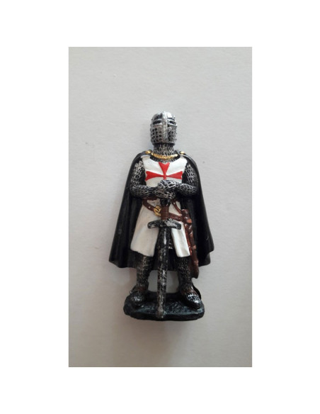 Set of 12 magnets with Knights...