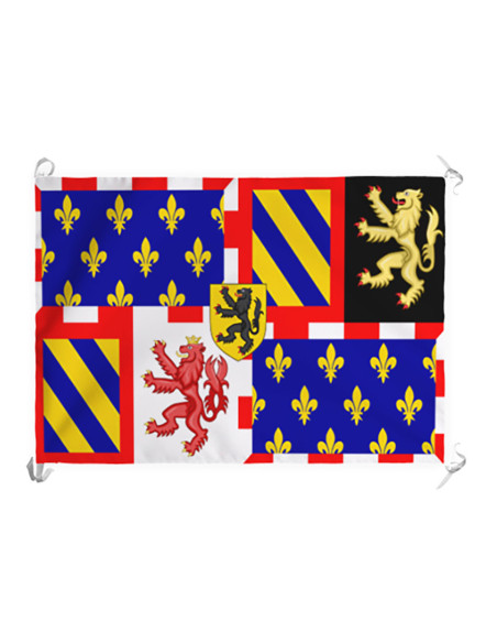 Burgundy Quartered Medieval Banner...