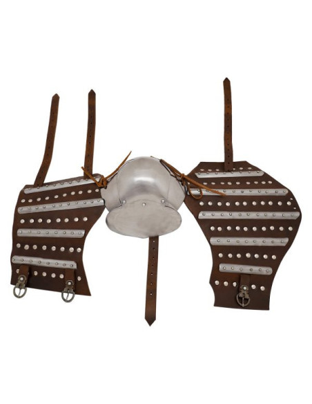 Pair of historical medieval Arms with...