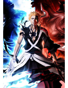 Banner-Flag of Ichigo Kurosaki, Bleach (100 x 70 cm.) 2