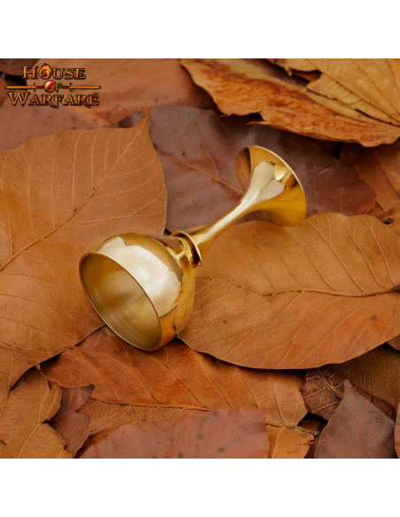 Chalice of the Holy Grail in solid...