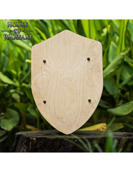 Medieval wooden shield, customizable