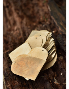 Set of 25 brass plates for lamellar armor (7.5 cm.) 2