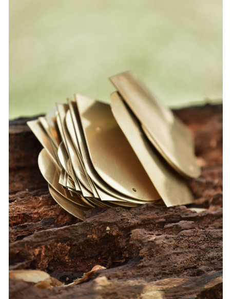 Set of 25 brass plates for lamellar...