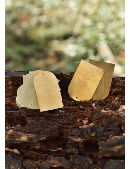 Set of 25 brass plates for lamellar...