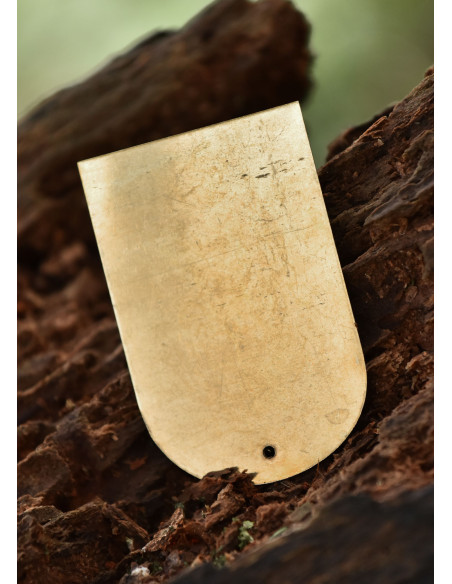 Set of 25 brass plates for lamellar...