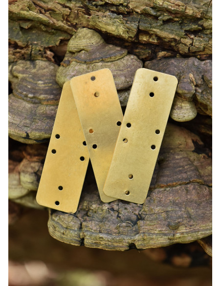 Set of 25 brass plates for lamellar...