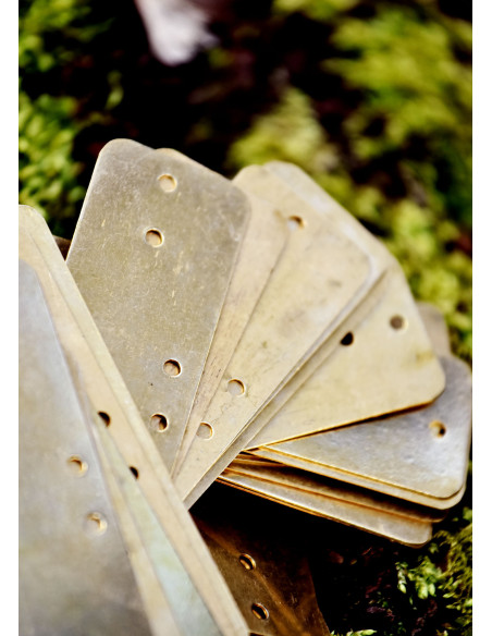 Set of 25 brass plates for lamellar...