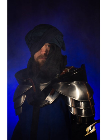 Set of gorget and shoulder pads model...