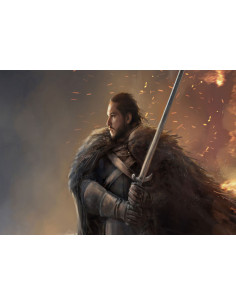 Banner-Flag of Jon Snow, Game of Thrones 2