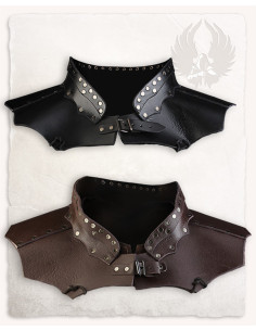 Medieval gorget and Rasmus fantasy in leather