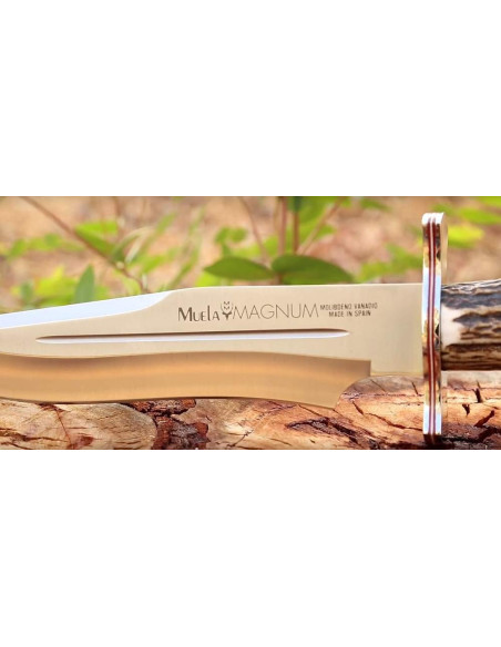 Hunting and sporting knife Magnum