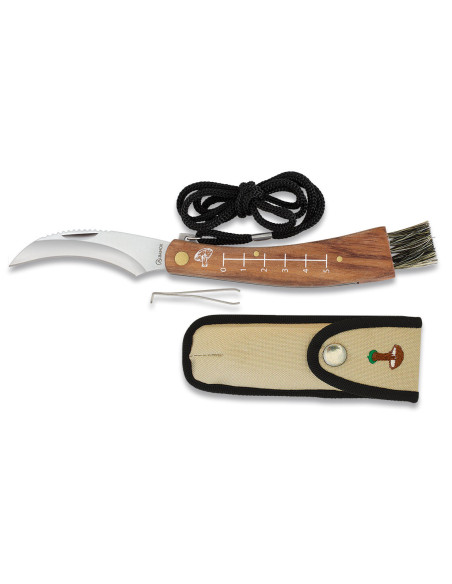 Albainox mushroom knife with curved...