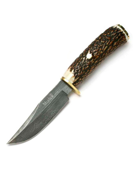 Braco hunting knife, stag horn handle