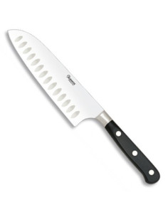 Professional Santoku Knife