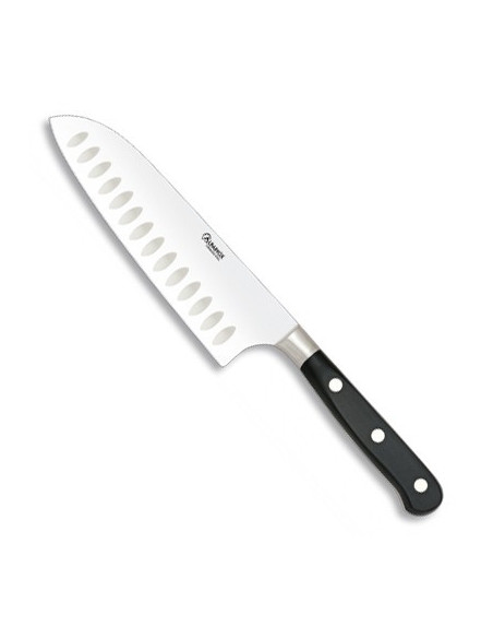 Professional Santoku Knife