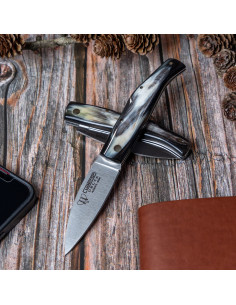 Delta hunting knife, polished bull horn handle