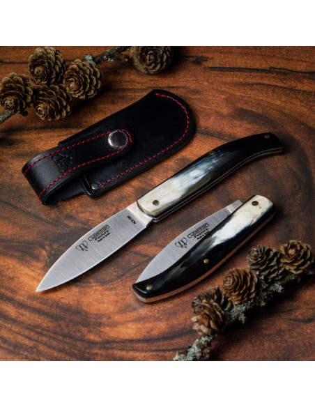 Pastora hunting knife, polished bull...