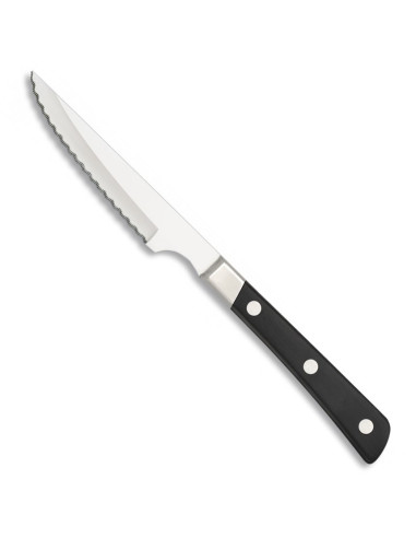 Steak knife with micro edge, Albainox