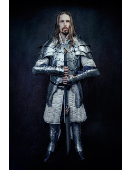 Gothic breastplate and backplate,...