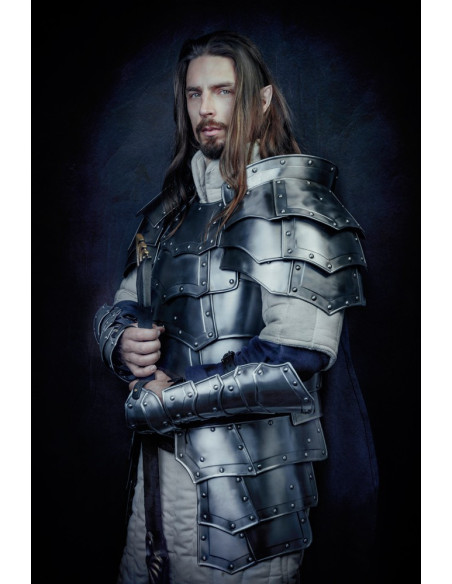 Gothic breastplate and backplate,...