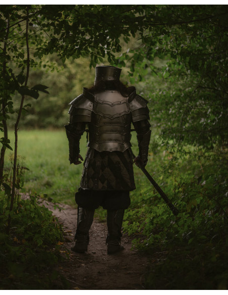 Gothic breastplate and backplate,...