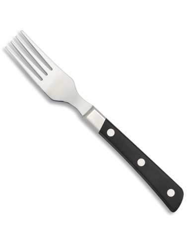 Kitchen steak fork, Albainox brand