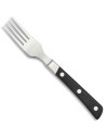 Kitchen steak fork, Albainox brand