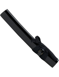 Both John Lee's Dragon 2