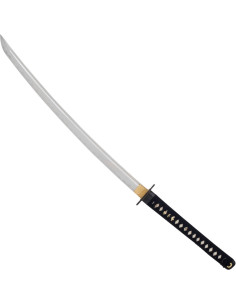 Iaito Ninja by John Lee