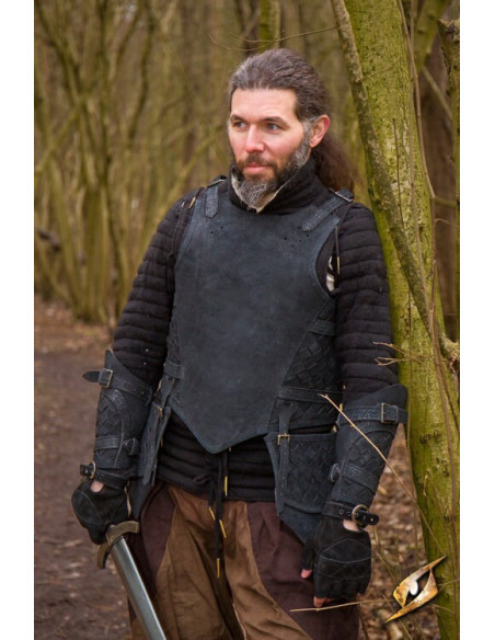 Full chest plate set Ranger of Epic...