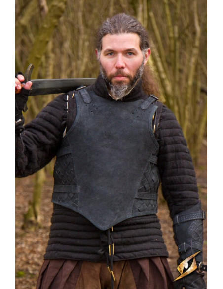 Full chest plate set Ranger of Epic...