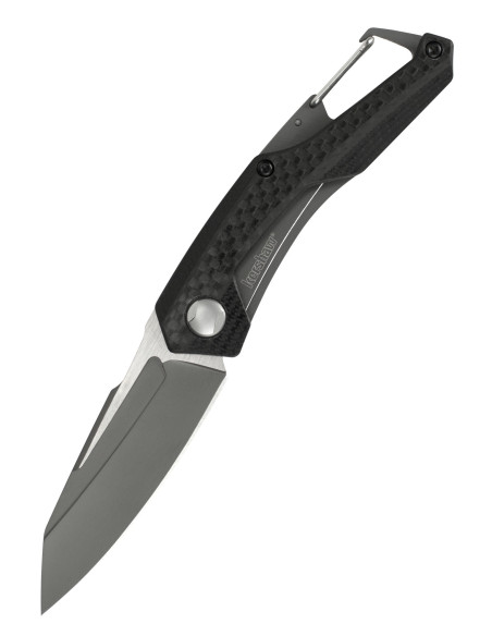 Kershaw Reverb model tactical knife