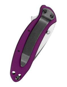 Kershaw Scallion Pocket Knife, Purple 2